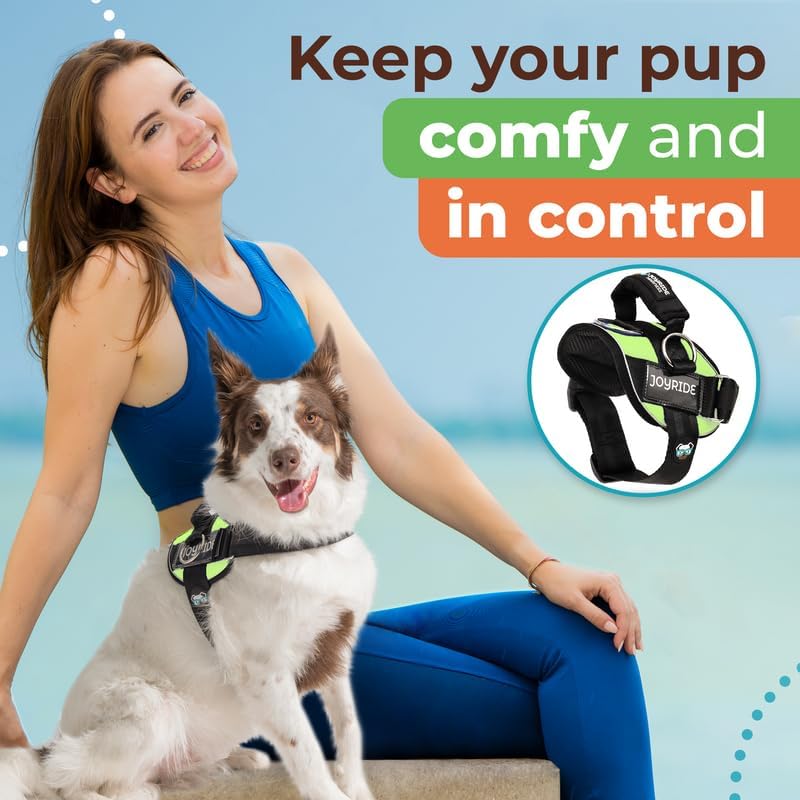 Joyride Harness Arnés para mascotas sin tirones con etiqueta de nombre personalizable, logotipo que brilla en la oscuridad, 3 anillos laterales para