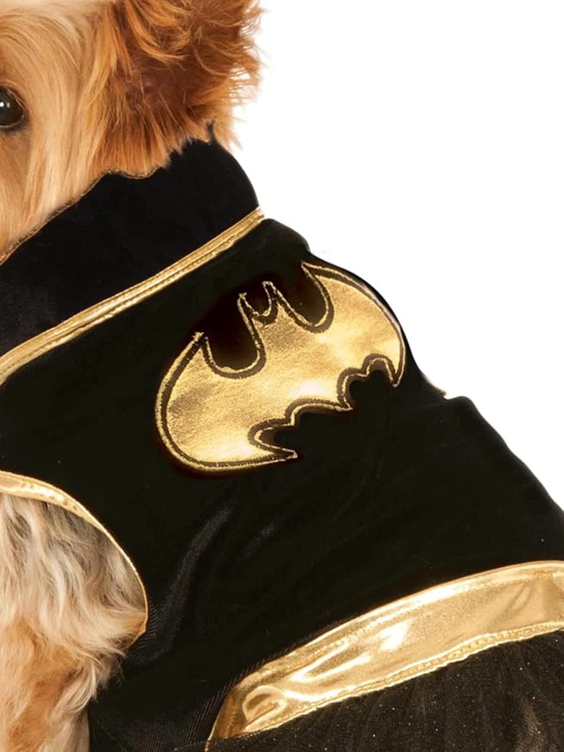 Rubies Costume Company disfraz de Batichica de DC Comics con pollera tutú, para mascotas, XL, Negro  Amarillo