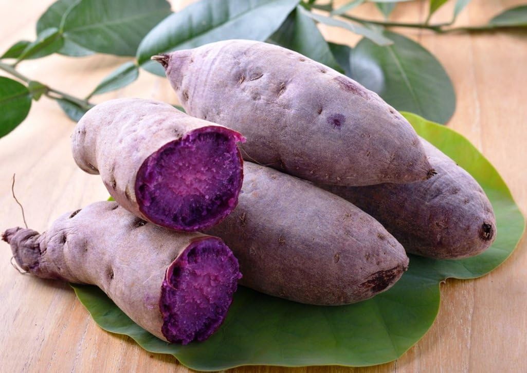 Forest Corner – Patata dulce morada japonesa – Excelente sabor y se almacena bien – Cultivado en Estados Unidos (5 libras)
