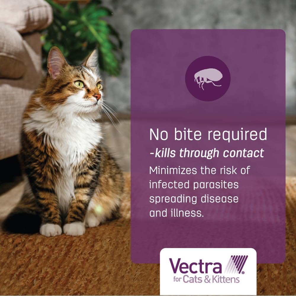 Vectra Bronceado para gatos y gatitos 2-9 libras 6 dosis