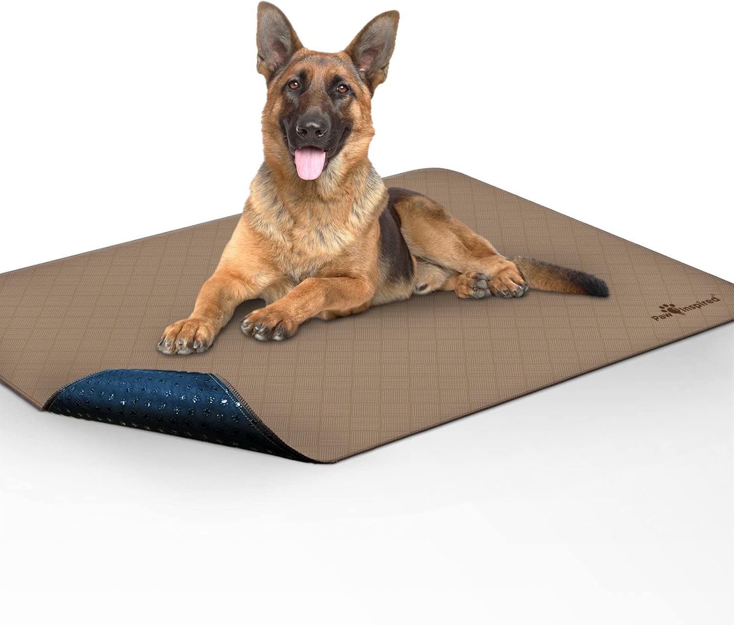 Paw Inspired Almohadillas lavables para orina para perros  Almohadillas reutilizables para cachorros  Almohadillas impermeables para parto