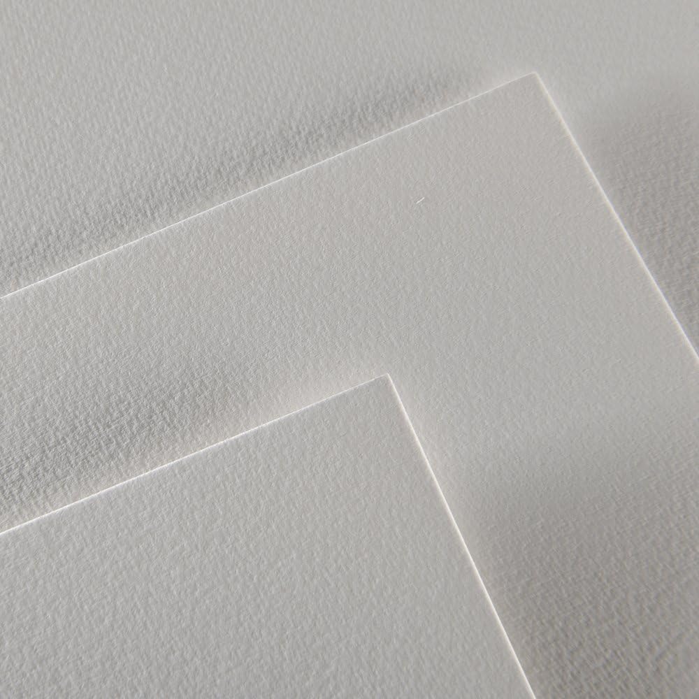 Canson Bloque de papel acrílico de 14.11 ozm que incluye 10 hojas, tamaño 9.4×12.6 in, textura de grano fino