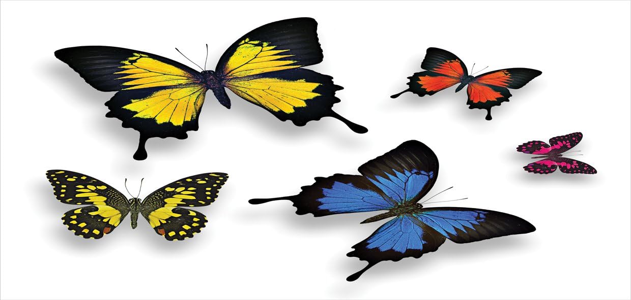 Ambesonne Alcancía de mariposas, varios patrones de mariposas coloridas y polillas con alas temáticas de gracia de la naturaleza, caja de dinero de