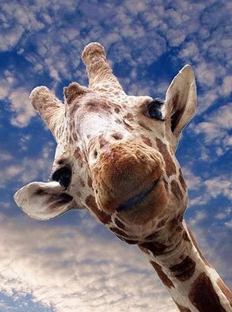 Rompecabezas de 500 piezas de jirafa, divertido rompecabezas de jirafa para amantes de los animales, juguetes educativos regalo para niños y niñas