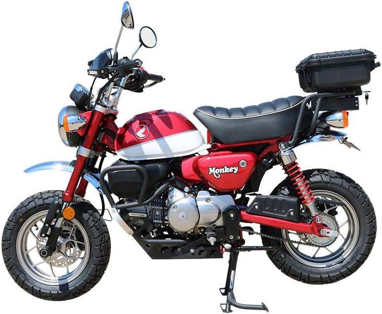 T-Rex Racing Eliminador de guardabarros para Honda 2019-2021 Monkey