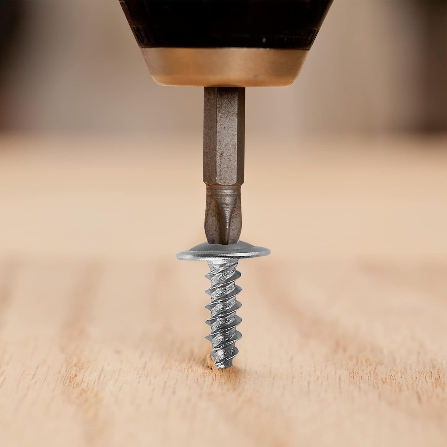 WensiLon #8 Phillips Truss Head Tornillos de madera Acero inoxidable 410 Quick Metal Autoperforantes Surtido Kit
