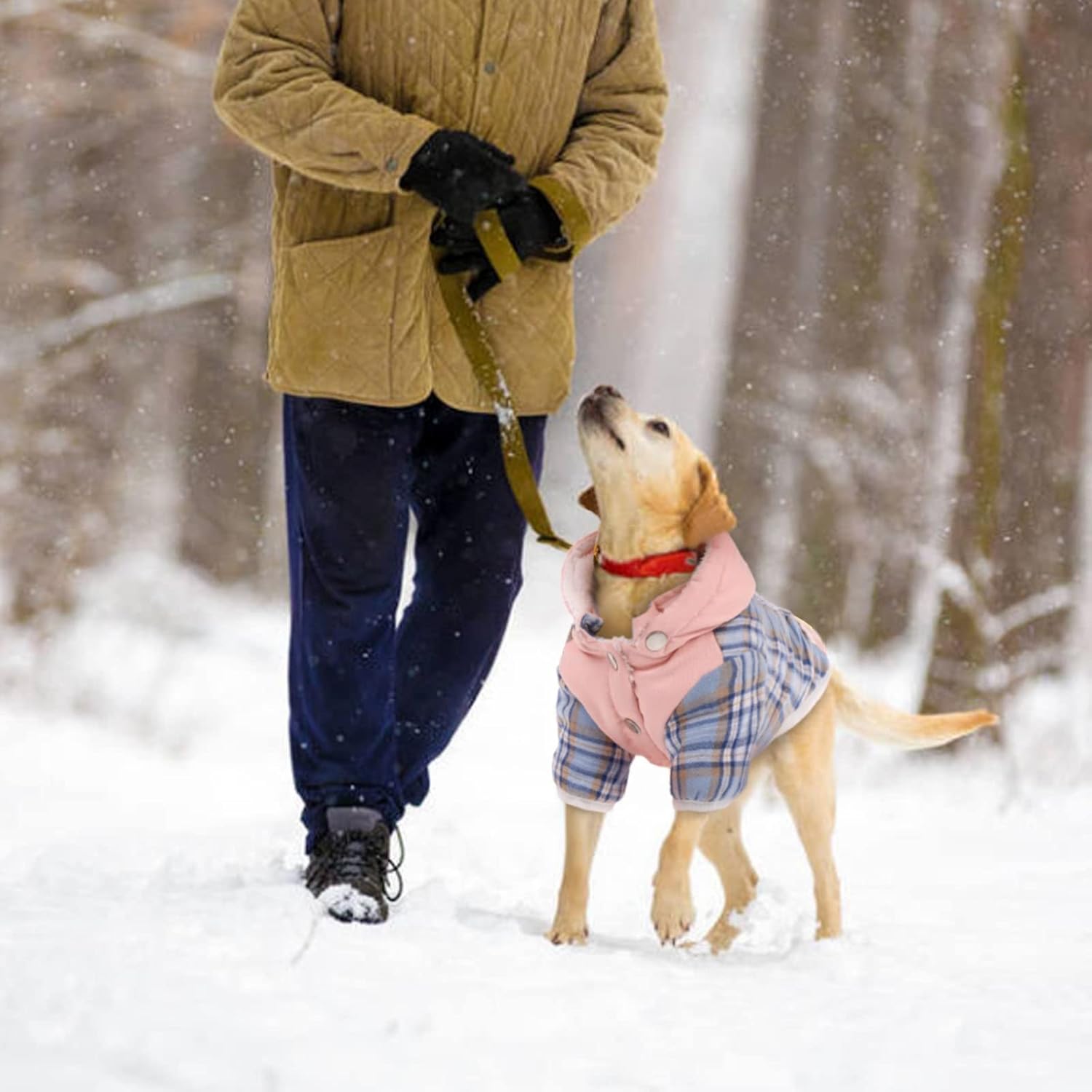 Abrigo de invierno para perro, chaqueta de forro polar para perro con agujero para arnés con capucha para perro con sombrero, abrigo cálido para
