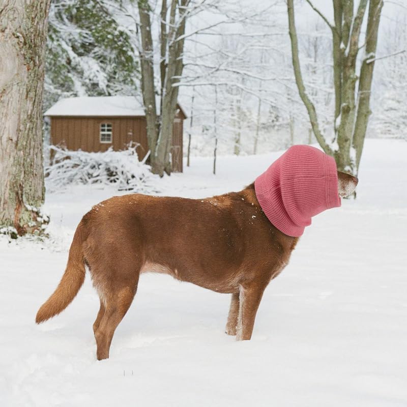 Tapa de agua para perros, cubierta para las orejas de baño, protectores de oídos para perros, protectores de oídos sin envoltura, comodidad para las