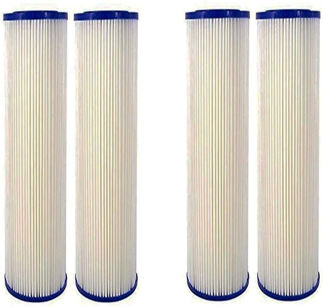 CFS COMPLETE FILTRATION SERVICES EST.2006 Reemplazo de 0,35 sub-micras postfiltro para sistemas de filtro de agua para toda la casa
