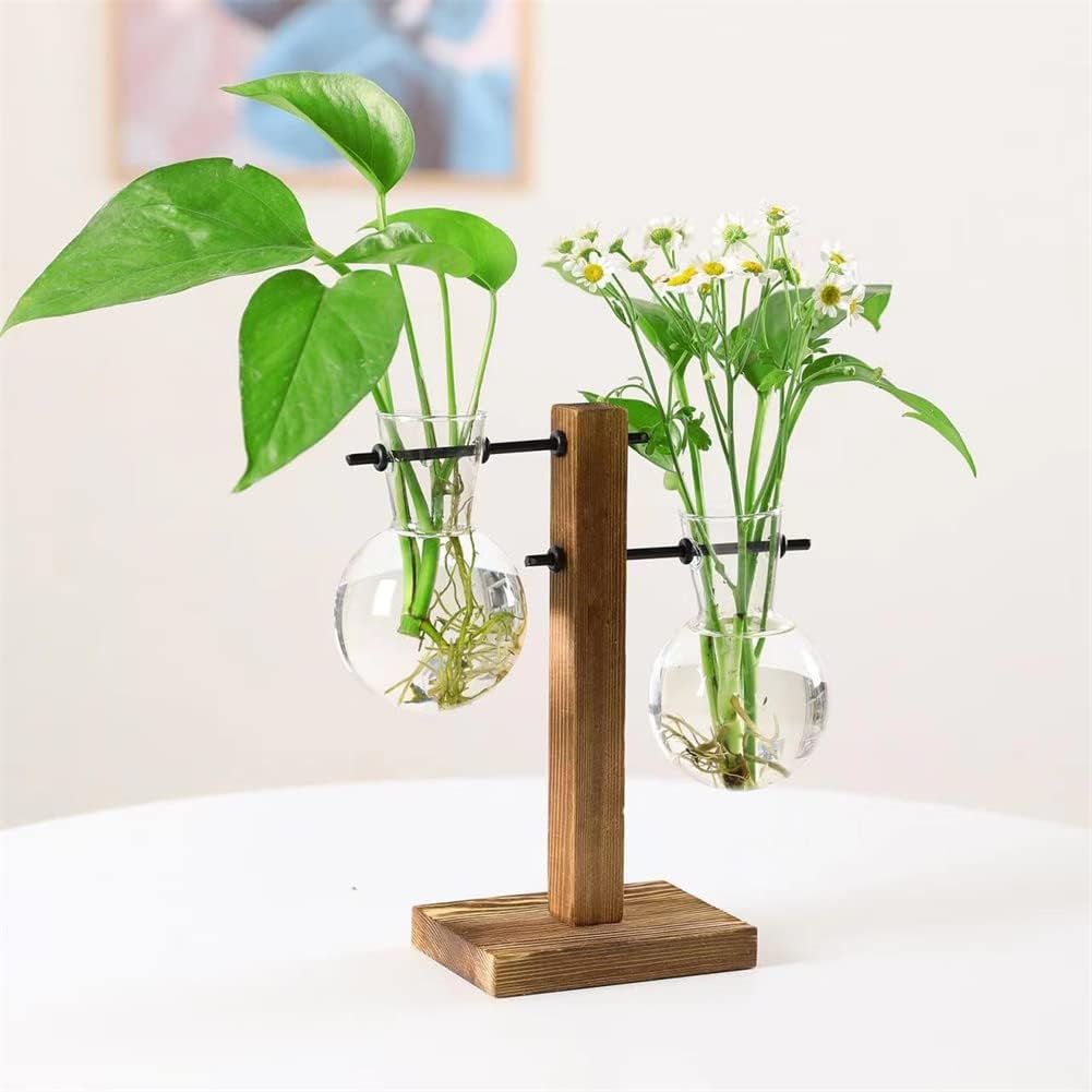 Jarrón de cristal para plantas hidropónicas, kit de terrario de plantas de escritorio con soporte retro de madera maciza para plantas hidropónicas,
