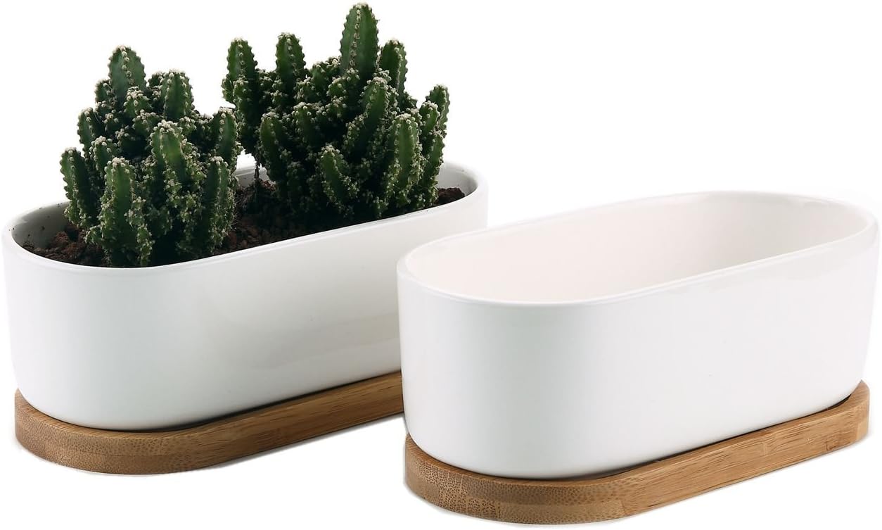 T4U Macetas pequeñas blancas para suculentas con bandeja de bambú, contenedor ovalado para plantas de cactus para decoración de mesa de oficina en