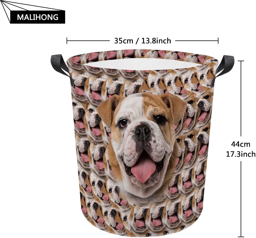 MALIHONG Cesta plegable con estampado de perro, divertida cesta de lavandería de sandía Husky con asa, caja de juguetes, bolsa de almacenamiento