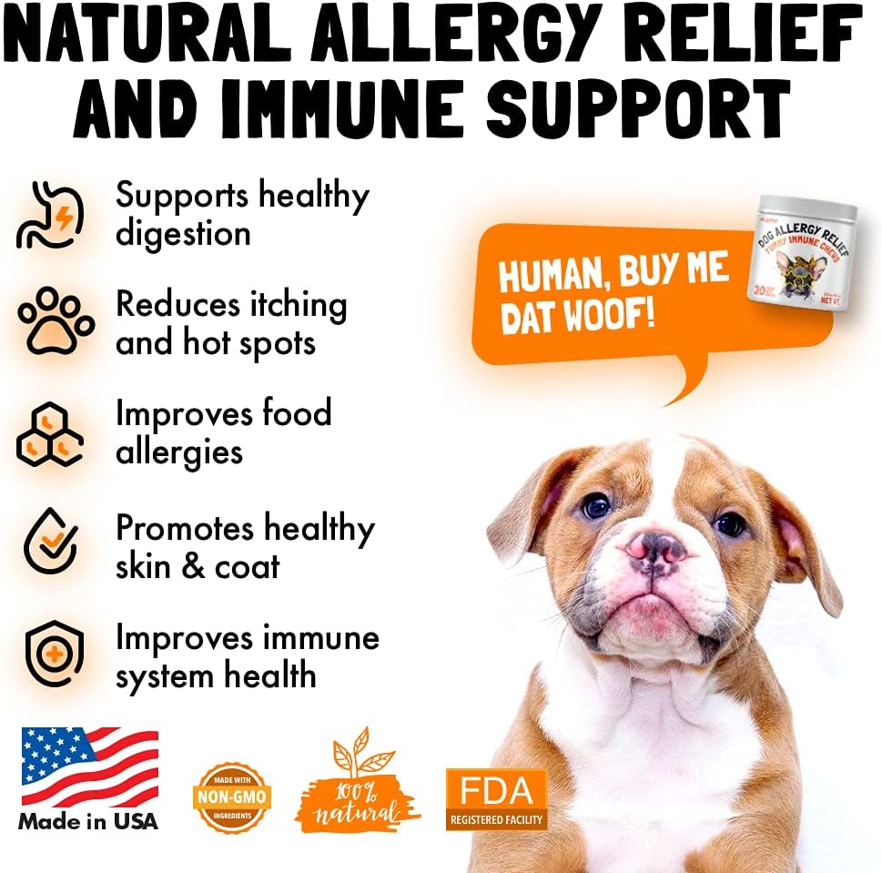 Masticables para aliviar la alergia para perros y suplemento inmunológico y digestivo con aceite de salmón silvestre, calostro, cúrcuma, probióticos