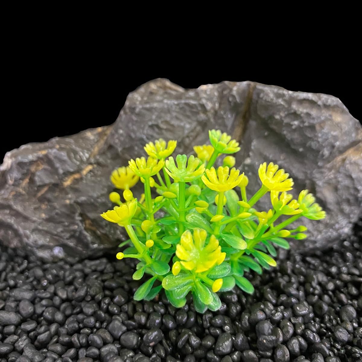 TANOMA Accesorios para pecera, decoración de plantas, plantas artificiales de acuario de plástico para peces, 10 unidades