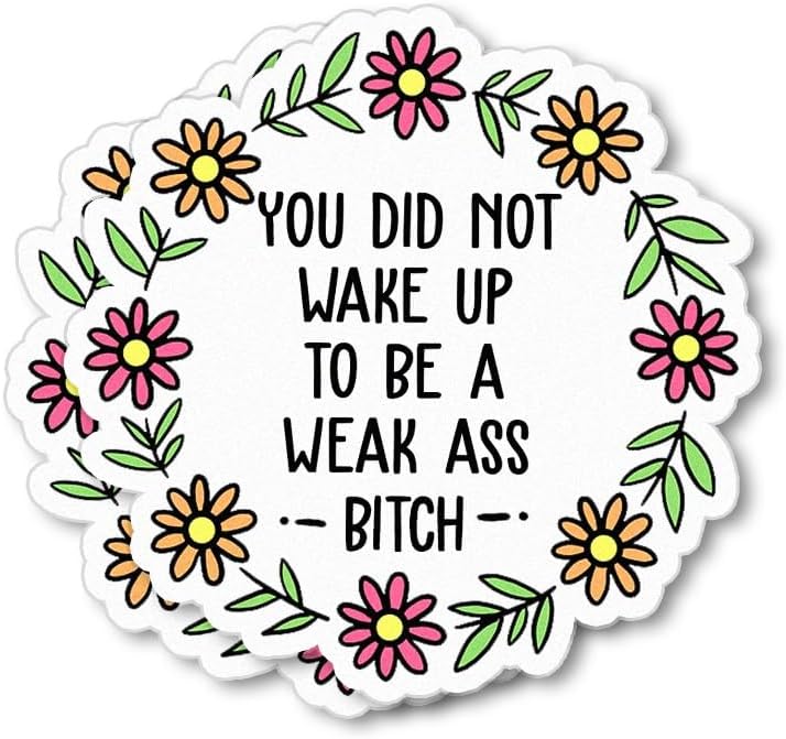(2 unidades, 3 x 4 pulgadas, 4 x 6 pulgadas, 6 x 8 pulgadas) You Did Not Wake Up to Be A Weak Ass Bitch Calcomanías motivacionales Afirmaciones