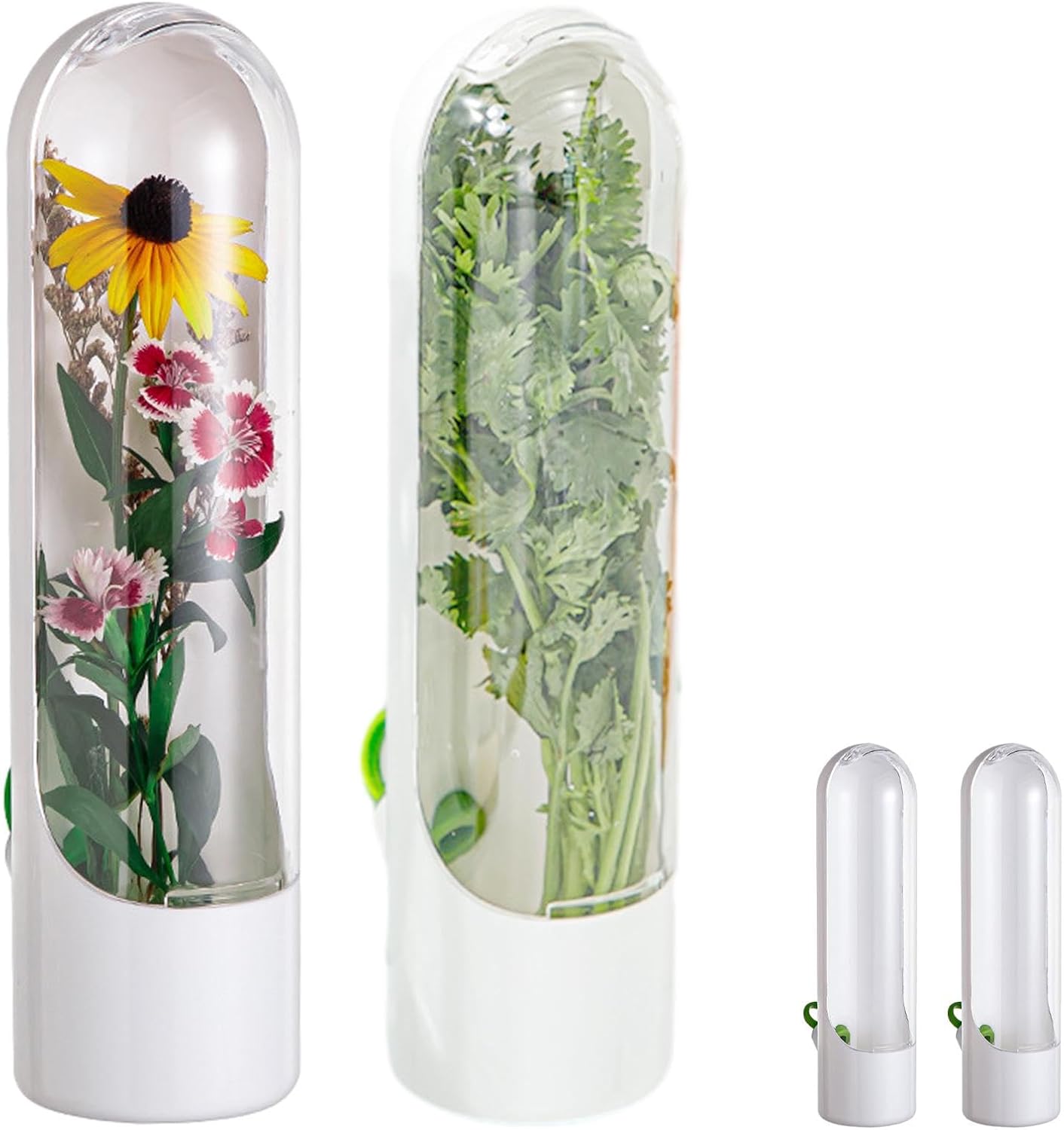 Recipientes de cilantro para refrigerador, contenedor de espárragos para refrigerador, contenedor de hierbas frescas para cilantro, menta, perejil,
