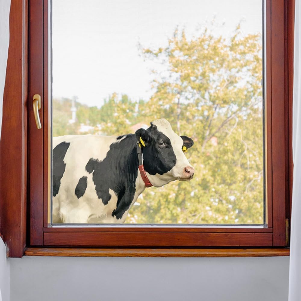 SXAOUIM Calcomanías de pared, ideales para habitación, sala de estar, paredes, cocina, dormitorio y más, calcomanías de pared de vidrio