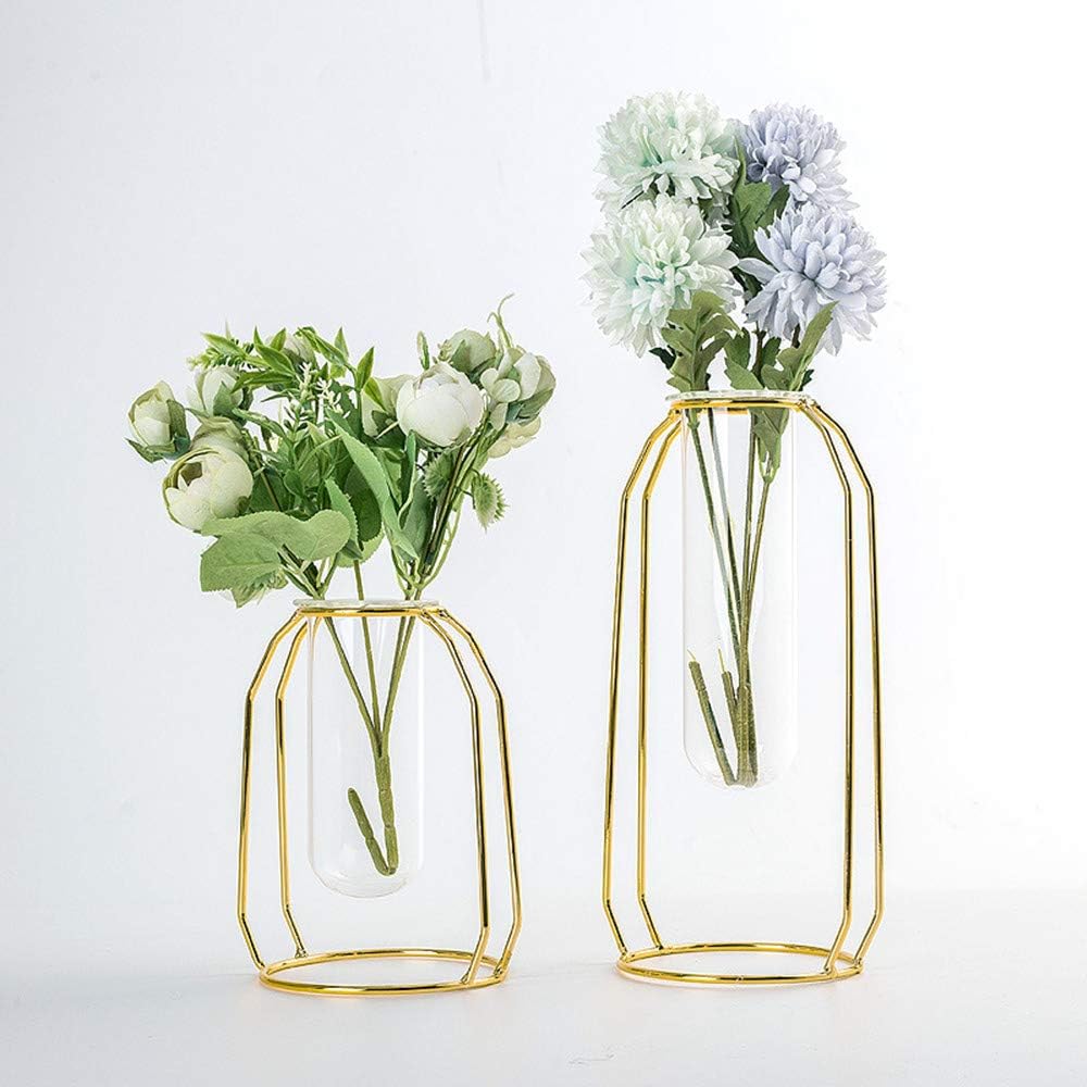 Nuptio – Juego de 2 jarrones de cristal con marco de metal, para plantas y flores, jarrón cilíndrico, para plantas de mesa, para oficina, sala de