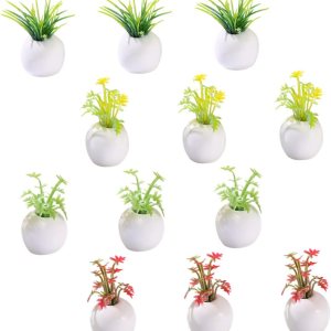 NOLITOY 12 piezas de mini plantas en maceta, accesorios para casa de muñecas en miniatura, planta bonsái en miniatura, maceta pequeña modelo bonsái, NOLITOY 12 piezas de mini plantas en maceta, accesorios para casa de muñecas en miniatura, planta bonsái en miniatura, maceta pequeña modelo bonsái,