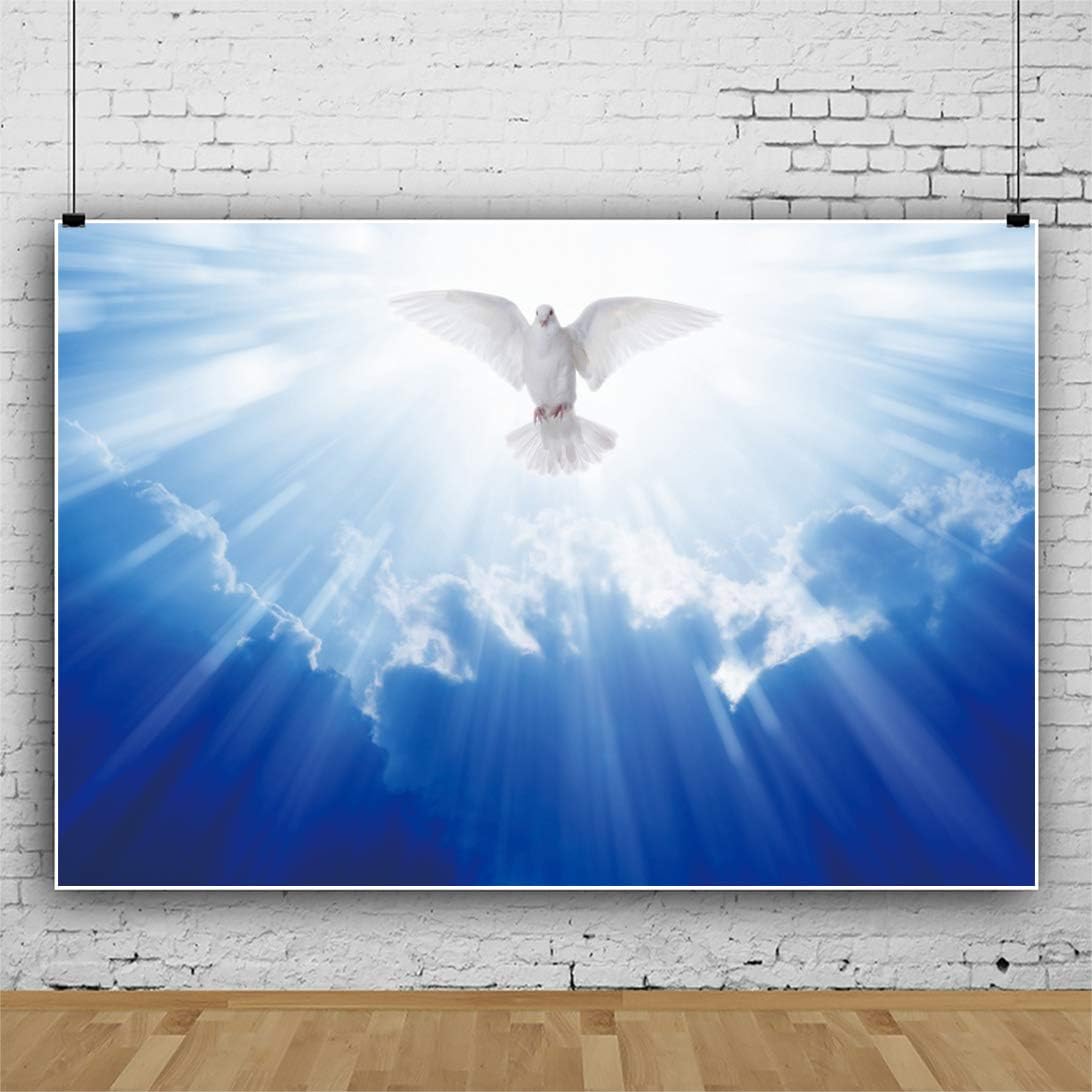 OERJU 10x8ft Jesucristo Luz Santa irradia fotografía Fondo Dios bendición Paloma blanca cielo azul cielo mensajero creencia paraíso religioso foto