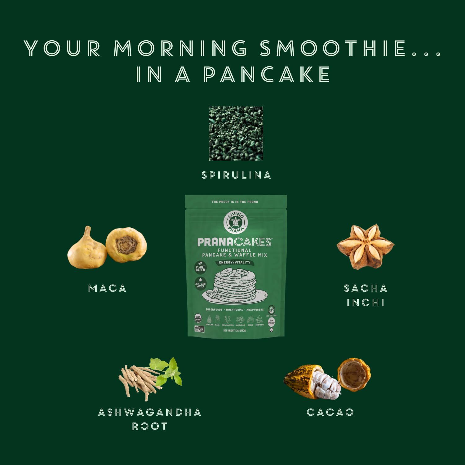 Living Prana PranaCakes – Mezcla orgánica para panqueques y waffles, sin gluten, solo agregue agua
