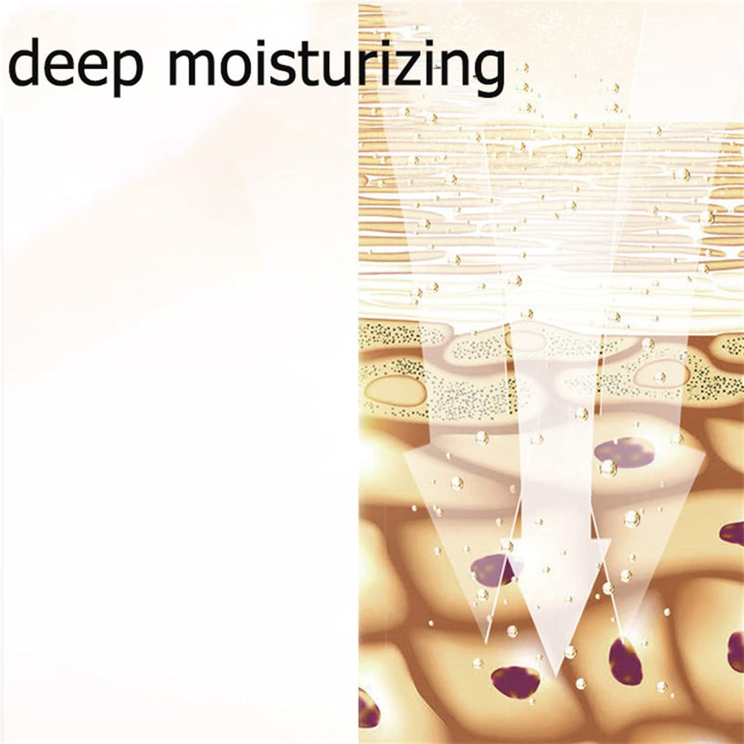 znvwki Hilos Tensores Para El Rostro, Hilos de Colageno Absorbibles para la Cara, Acido Hialuronico Puro Para Rostro, Hilo Proteína Soluble Coreana