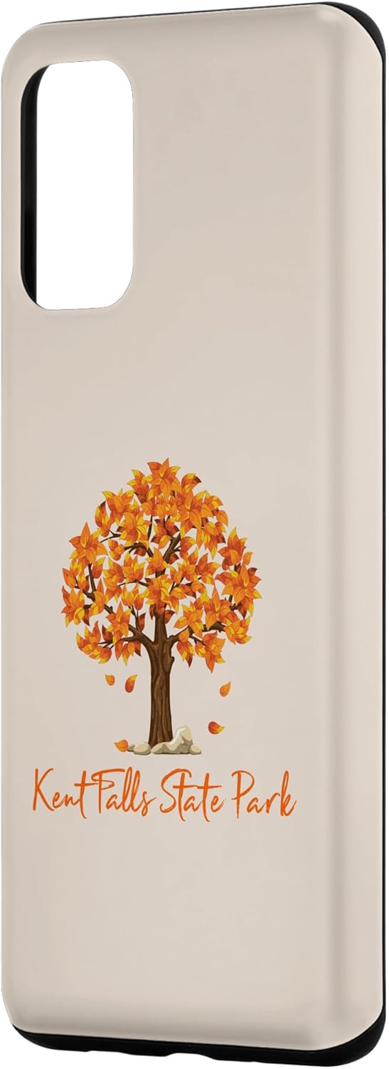 Galaxy S20+ Kent Falls State Park Autumn Foliage Fall Leaf Peeping Color Case