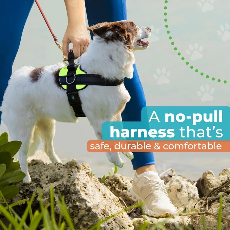 Joyride Harness Arnés para mascotas sin tirones con etiqueta de nombre personalizable, logotipo que brilla en la oscuridad, 3 anillos laterales para