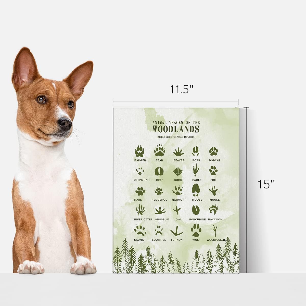 Pistas de animales de los bosques – Lienzo enmarcado para decoración de pared para sala de estar, dormitorio, arte de bosque, acuarela, lienzo