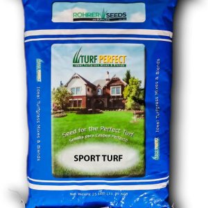 Mezcla de semillas de centeno de césped deportivo una mezcla equilibrada de hoja fina, tipo césped, raigrás perenne que crecerá rápido y se llenará Mezcla de semillas de centeno de césped deportivo una mezcla equilibrada de hoja fina, tipo césped, raigrás perenne que crecerá rápido y se llenará