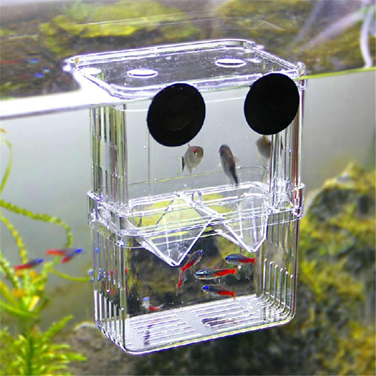 Caja de aislamiento de peces multifunción de acrílico grande Divisor de crianza Contenedor de mantenimiento para acuario de peces pequeños camarones