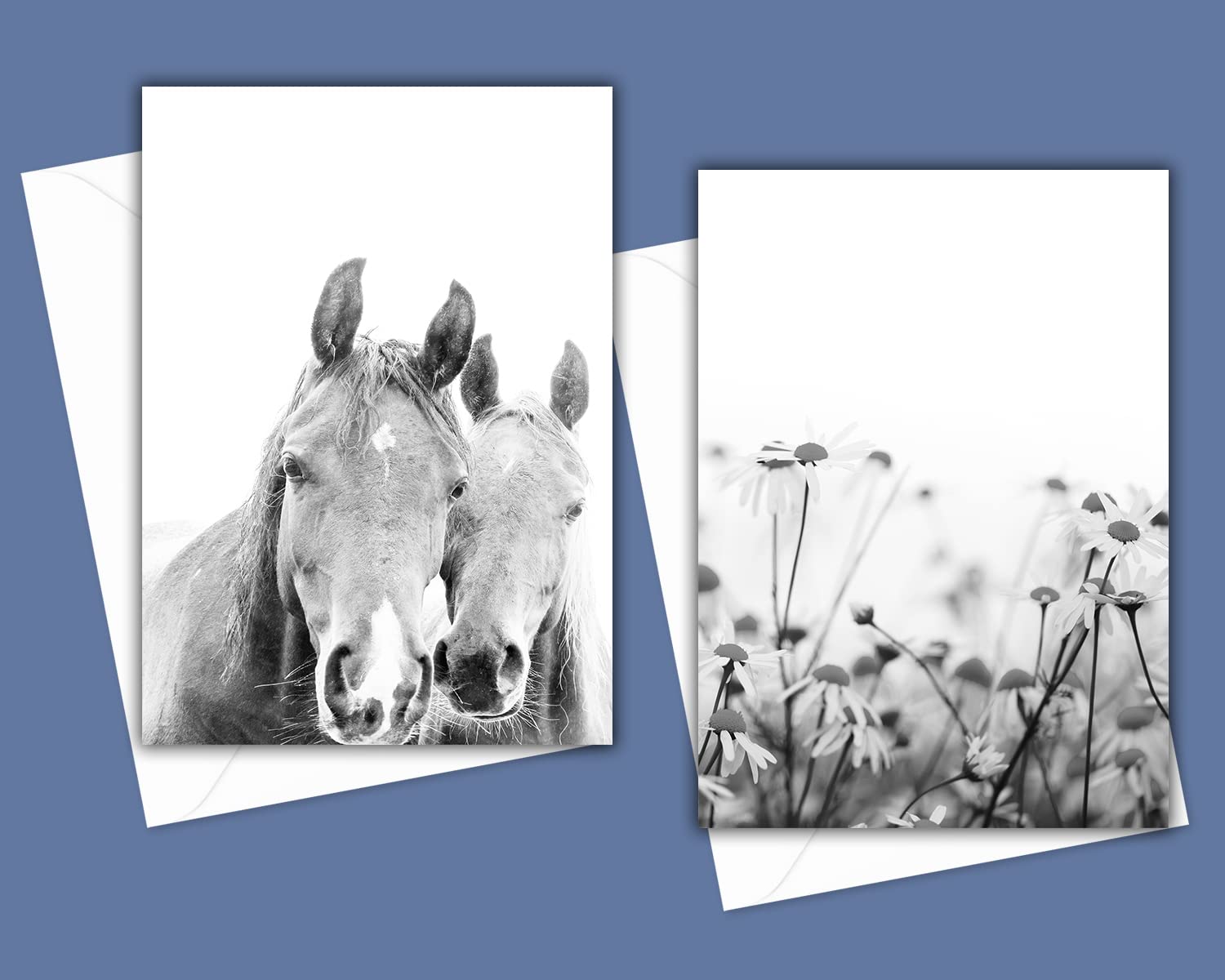 Modern Farmhouse Greeting Cards – Set of 10 All Occasion 5×7 Note Cards with Envelopes. Blank Inside. Assorted Black & White Photos including