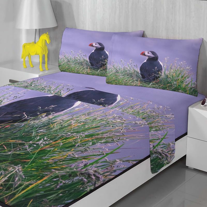 Arctic Seagull – Juego de sábanas tamaño King  Sábanas y fundas de almohada de frailecillo  Lujoso 100% microfibra, estampado de alta cantidad de