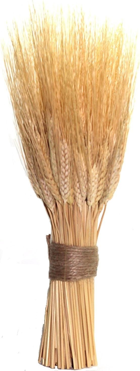 gavillas de trigo secadas de manera natural