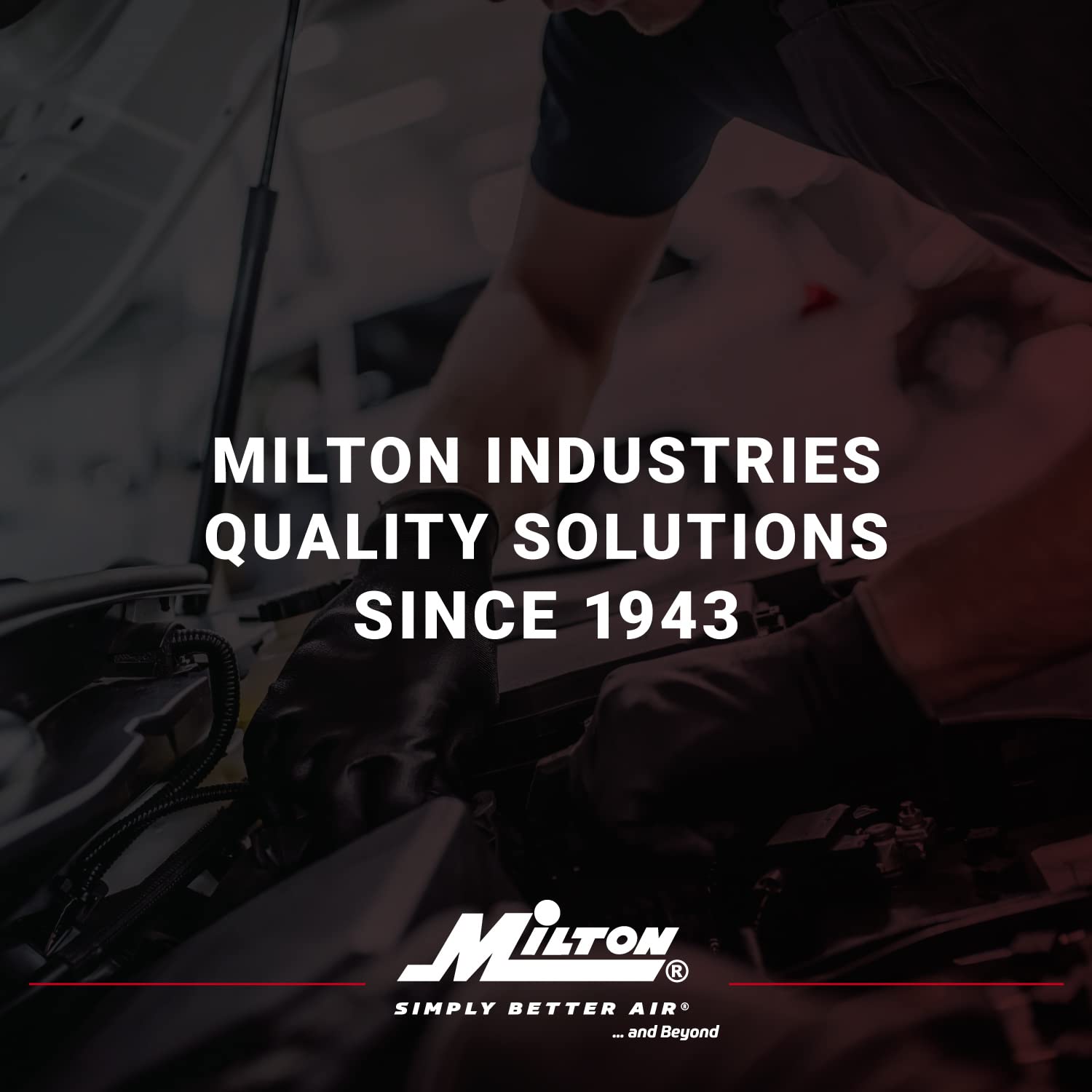 Milton 1072-2 12″ NPT Jumbo Sistema Secador Desecante con Filtro y Regulador para Pistola Pulverizadora o Herramientas Neumáticas, Incluye Manómetro