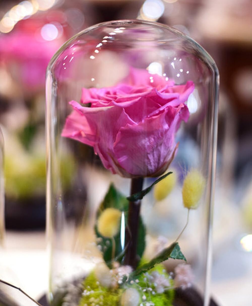12PCS Mini Glass Dome Cloche Decorative Bell Jar with Cork Base for Flower Snad Storage Home Wedding Party Favors Arts and Small Projects 3x4cm