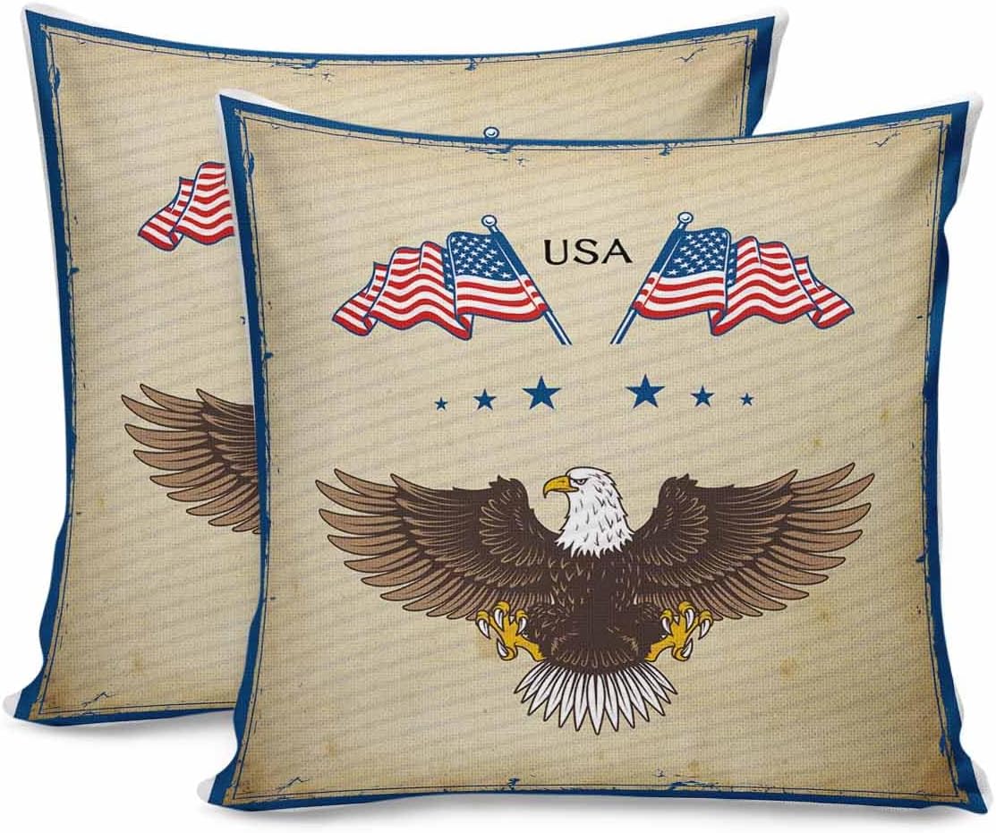 Paquete de 2 fundas de almohada decorativas de algodón, diseño patriótico de la bandera estadounidense, águila, 18 x 18 pulgadas, cuadradas,