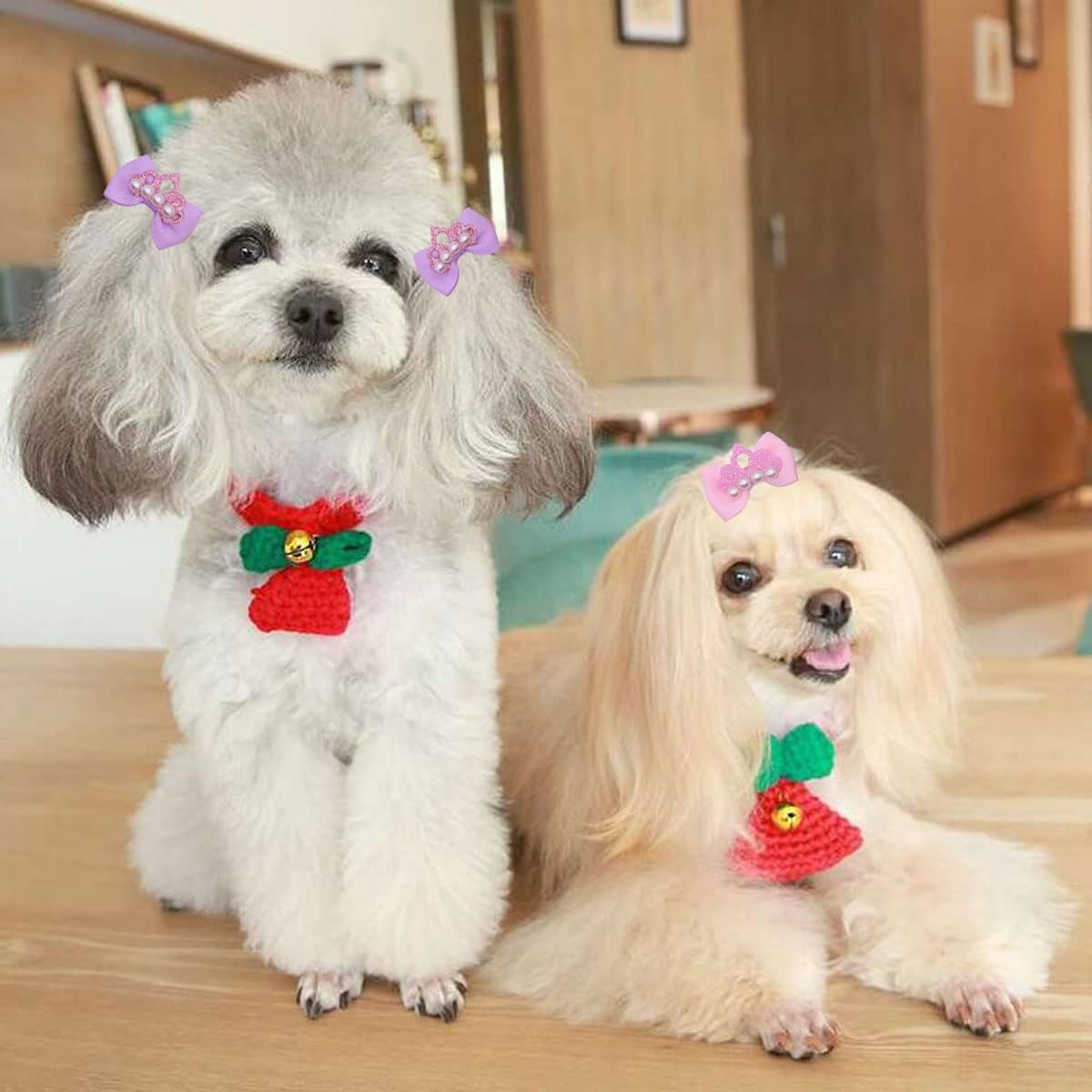 20 pinzas para el pelo de la corona para mascotas, pinzas de perro para el pelo, pinzas de pelo de gato, pinzas de pelo de mascotas en forma de