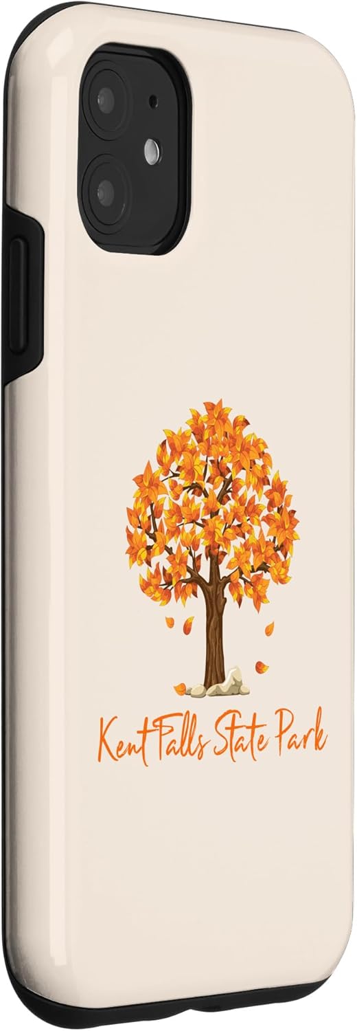 Funda de color para iPhone 11 Kent Falls State Park Autumn Follage Fall Leaf Peeping