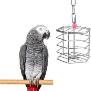 Alimentador de forraje de acero inoxidable para pájaros, caja de alimentación colgante para guacamayo, cacatúa gris africana, cacatúa, jaula de Alimentador de forraje de acero inoxidable para pájaros, caja de alimentación colgante para guacamayo, cacatúa gris africana, cacatúa, jaula de