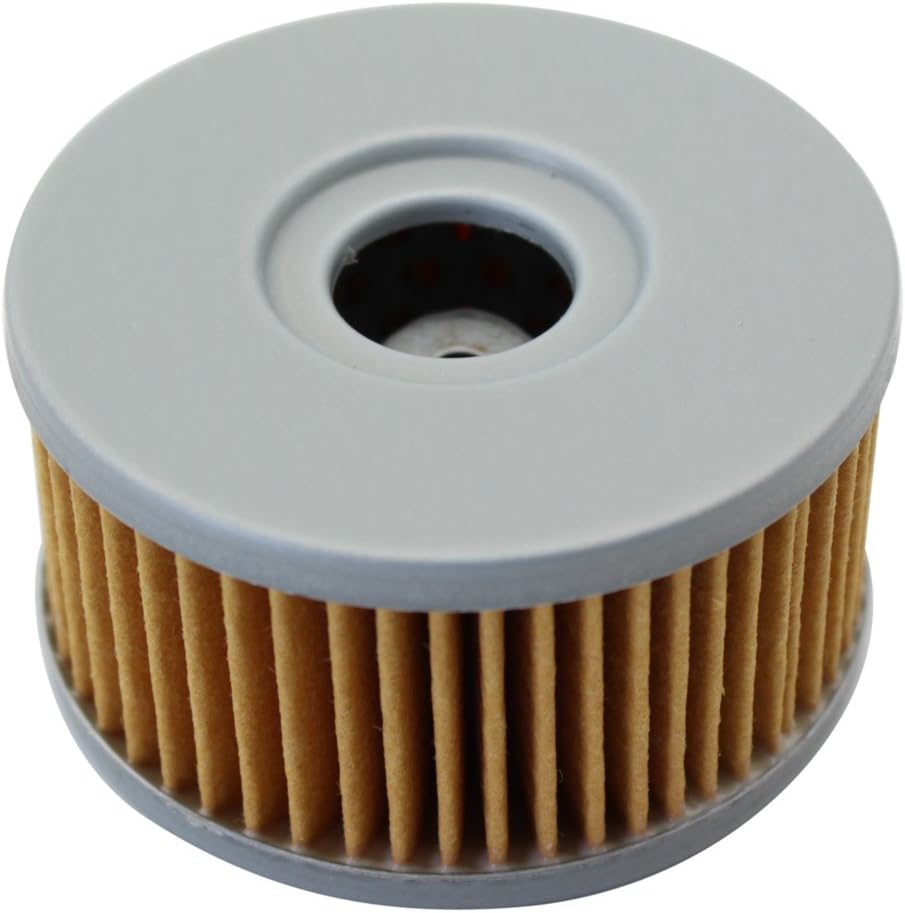 Cyleto Filtro de aceite para SUZUKI GZ250 GZ 250 MARAUDER 250 1999-2010  GN250 GN 250 1982-2000  GN400 GN 400 1980 1981 1982 (paquete de 2)