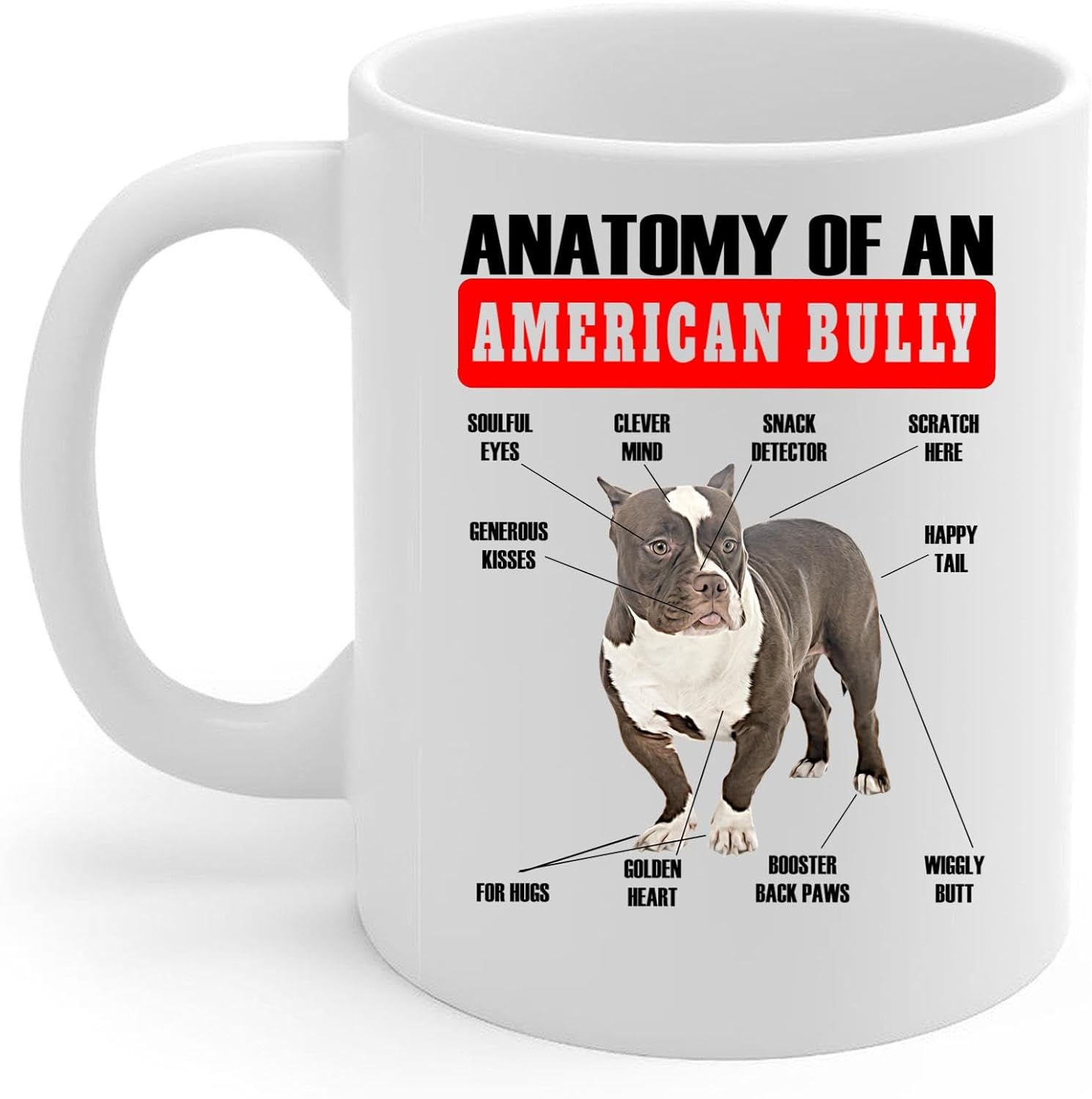 Lovesout Taza de café con diseño de anatomía de matón americano, color marrón divertido, taza de cerámica blanca de 11 onzas