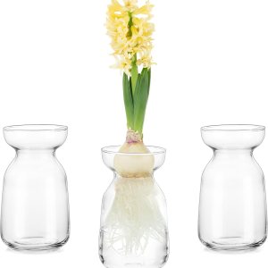 Glasseam Jarrón de vidrio de jacinto para flores jarrón de brote forzador de bulbos, juego de 3 jarrones pequeños transparentes para centros de Glasseam Jarrón de vidrio de jacinto para flores jarrón de brote forzador de bulbos, juego de 3 jarrones pequeños transparentes para centros de