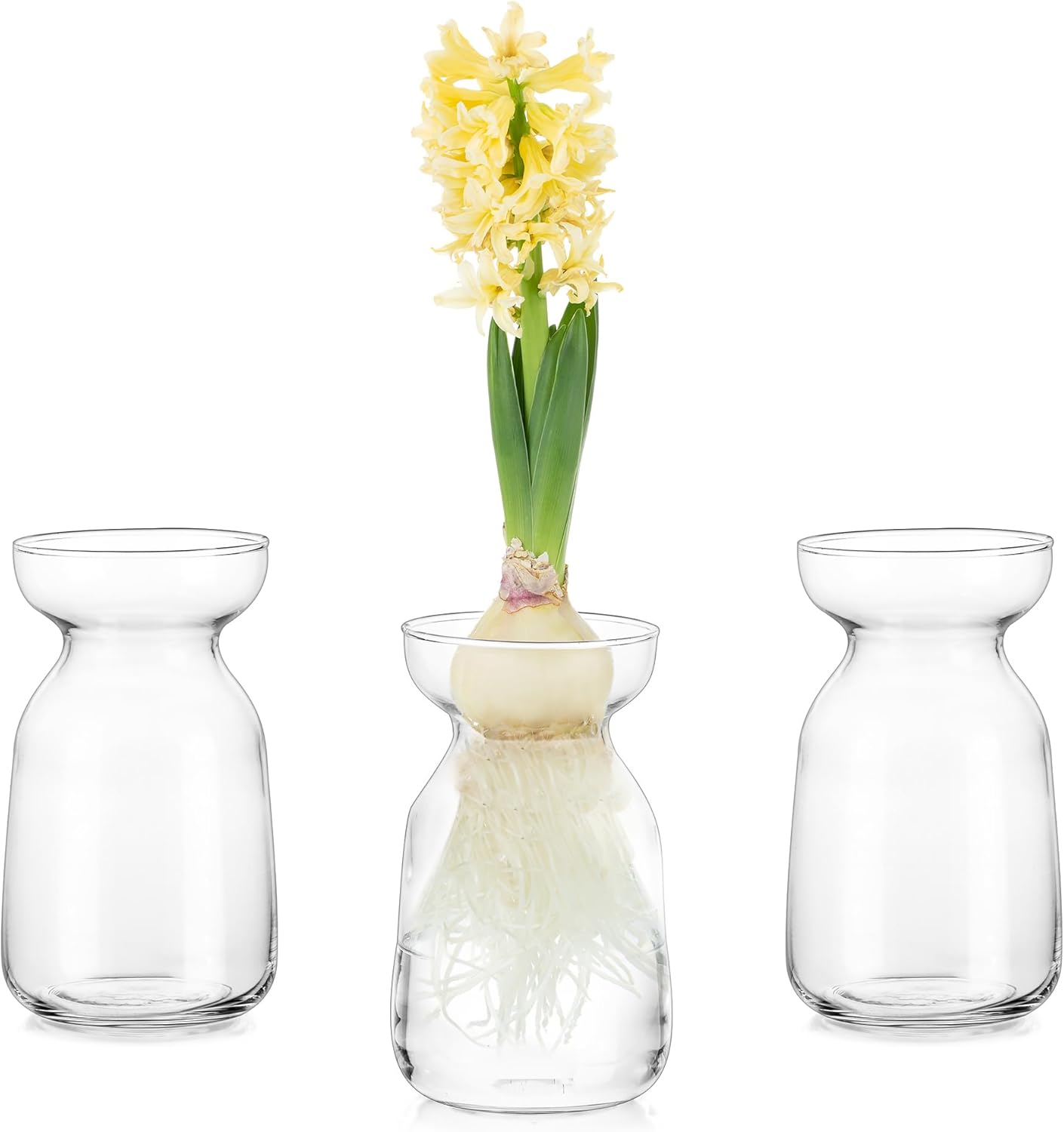 Glasseam Jarrón de vidrio de jacinto para flores jarrón de brote forzador de bulbos, juego de 3 jarrones pequeños transparentes para centros de