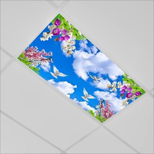 Cubiertas de luz fluorescente para decoración de oficina y aula, cielo y nubes, elimina el deslumbramiento intenso y los dolores de cabeza, filtro Cubiertas de luz fluorescente para decoración de oficina y aula, cielo y nubes, elimina el deslumbramiento intenso y los dolores de cabeza, filtro