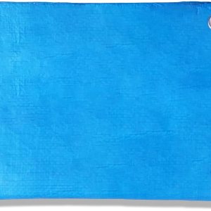 COARBOR Lona impermeable de 5 x 7 pies, protección de 0.197in, cubierta de piscina para barco al aire libre, caravana, color azul COARBOR Lona impermeable de 5 x 7 pies, protección de 0.197in, cubierta de piscina para barco al aire libre, caravana, color azul