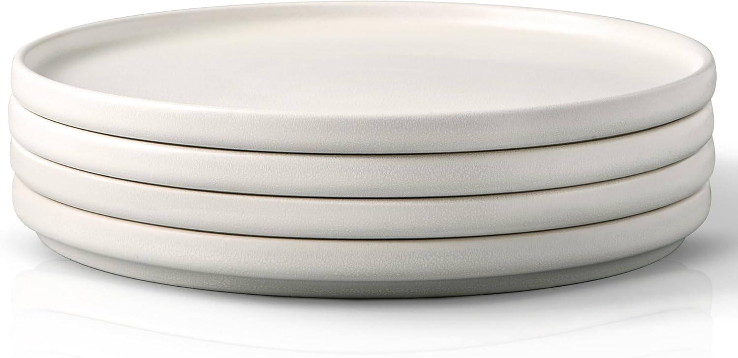 AmorArc Juego de 4 platos llanos de cerámica de esmalte mate reactivo de 10.25 pulgadas, juego de platos modernos para cocina, microondas,