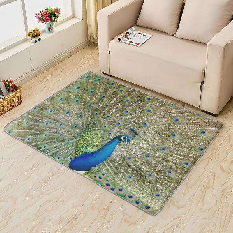 Alfombras de pavo real para entrada, dormitorio, sala de estar, alfombra de plumas de pájaro de 2 x 3 pies, lavable, antideslizante, suave, alfombra