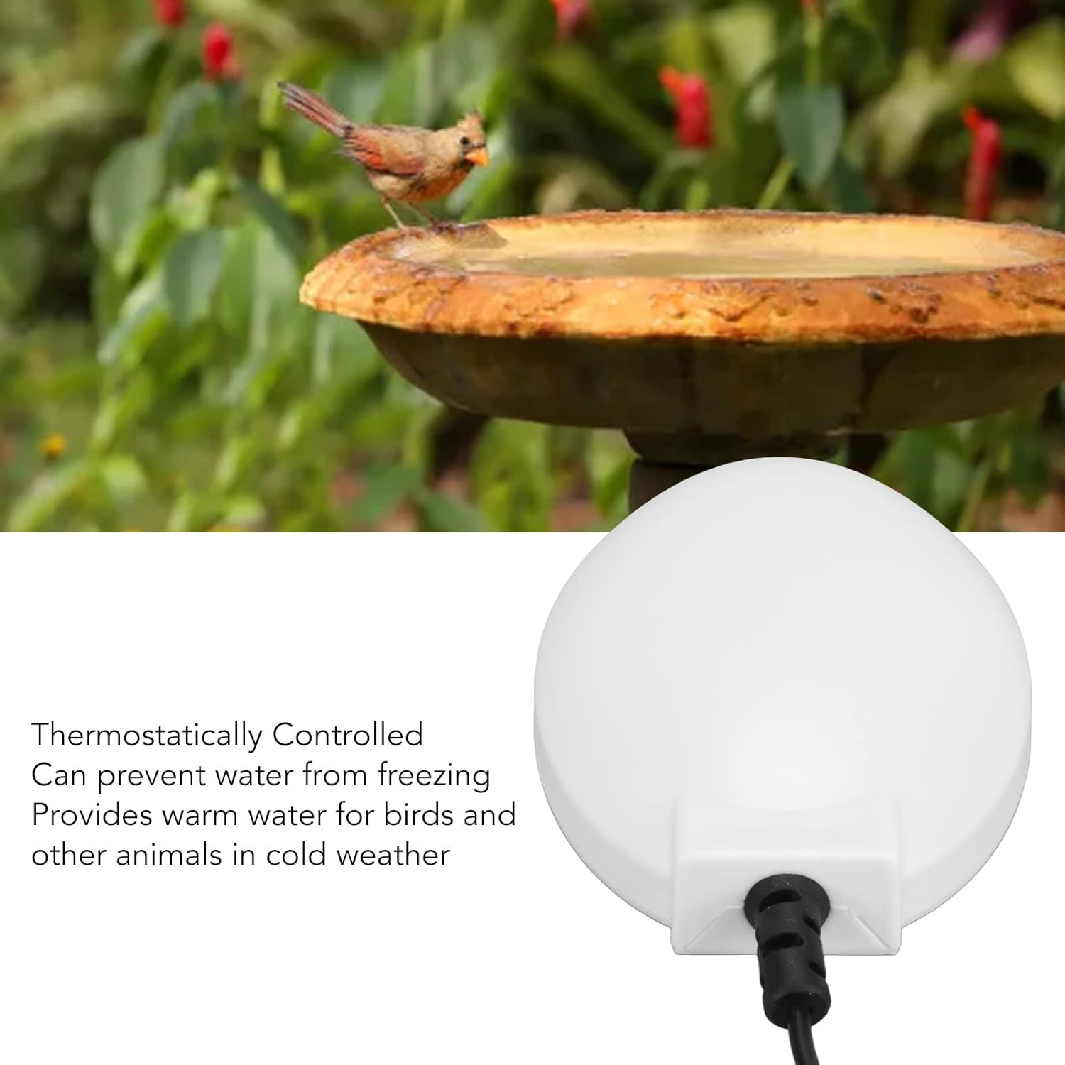 Zunate Calentador de baño para pájaros actualizado 2022 para exteriores, descongelador de baño para pájaros con control termostático, calentador de