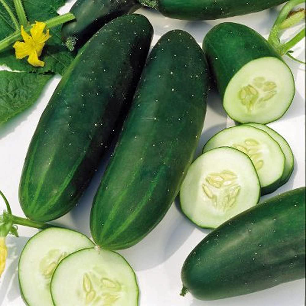 Pepino, ocho semillas de pepino, reliquia, 200 semillas, ideal para ensaladasmerienda
